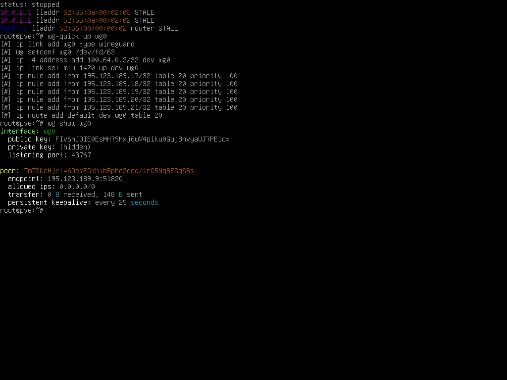 Proxmox host console running wg-quick up wg0, showing the interface, key, and route setup commands it runs, followed by wg show wg0 listing the peer, endpoint 195.123.189.9:51820, and a persistent keepalive of 25 seconds