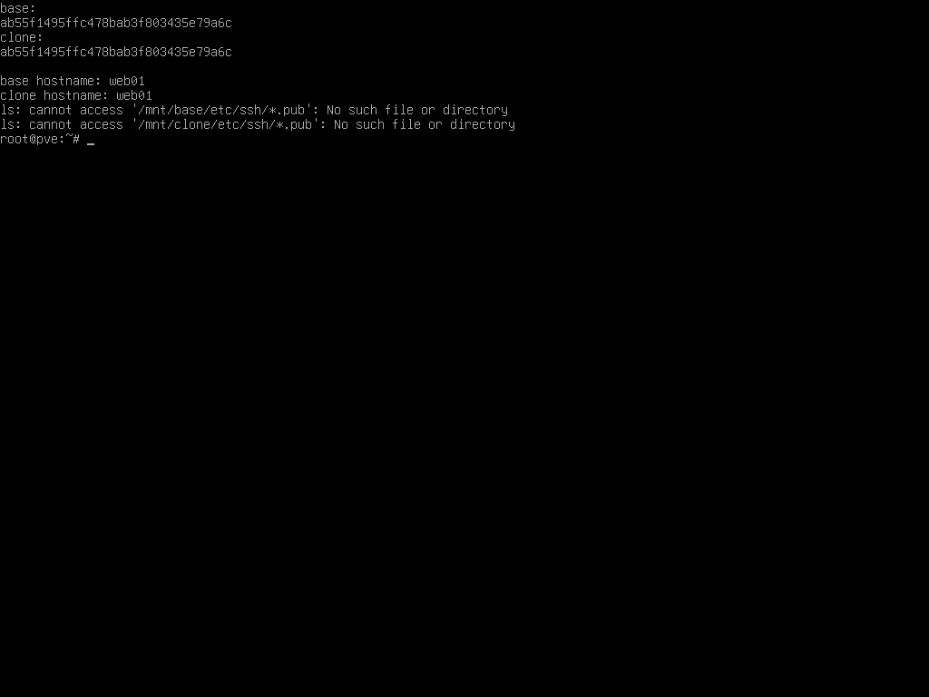 Console output comparing the template's mounted disk against the clone's: identical machine-id ab55f1495ffc478bab3f803435e79a6c on both, and identical hostname web01 on both